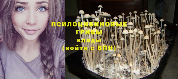 первитин Верея