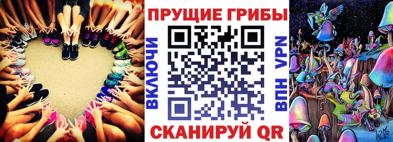 Купить закладки  Котельнич  Галлюциногенные грибы прущие грибы 