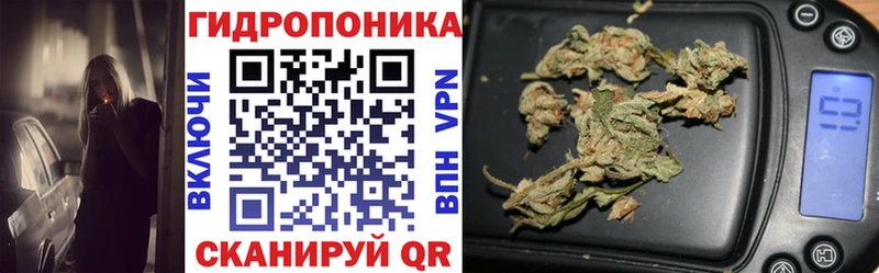 Бошки марихуана семена  Купить где  Котельнич 